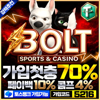 볼트카지노